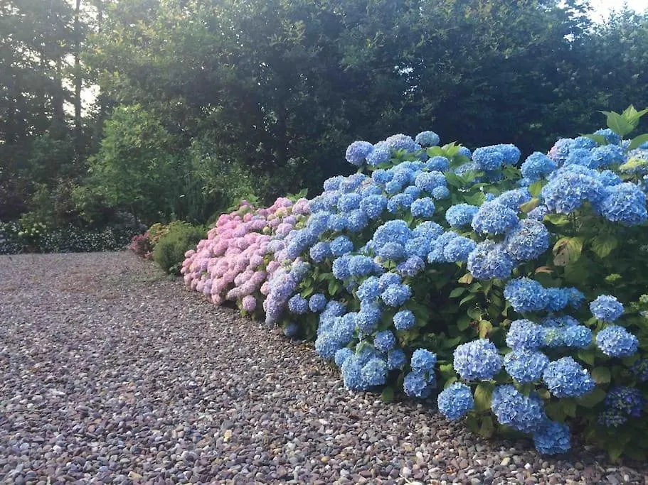 Quiet Countryside Retreat Daire Cork