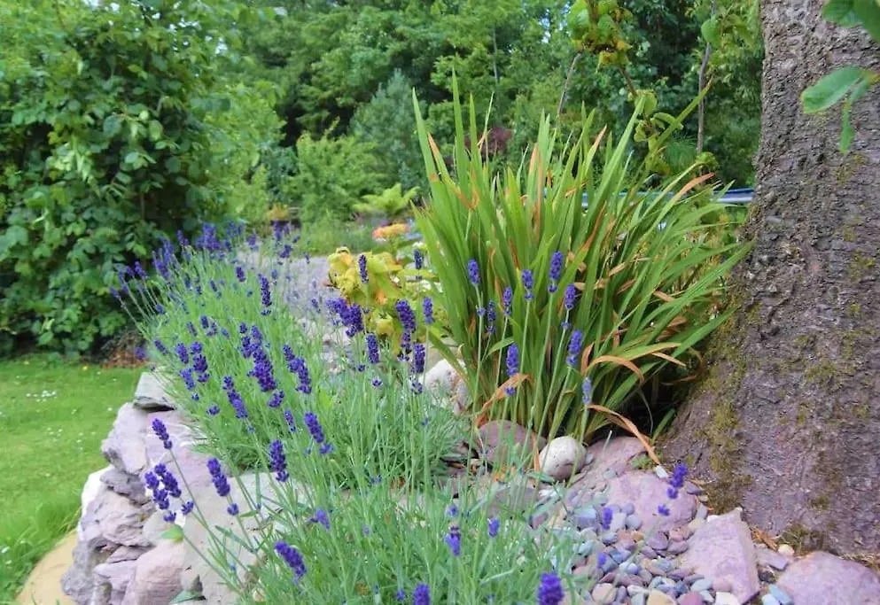 Quiet Countryside Retreat Daire Cork İrlanda