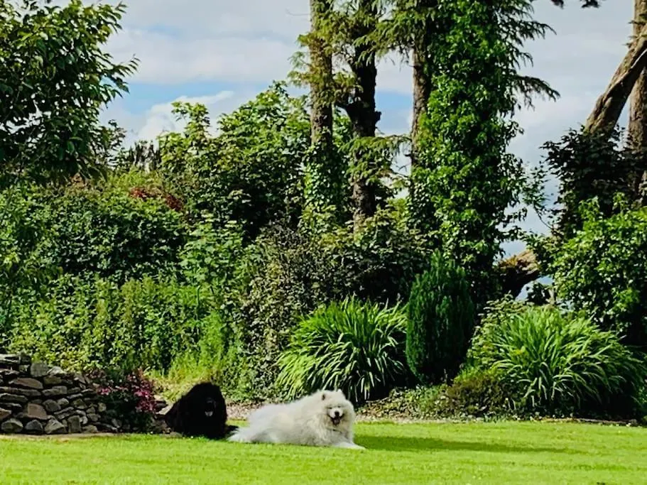 Quiet Countryside Retreat Daire Cork İrlanda